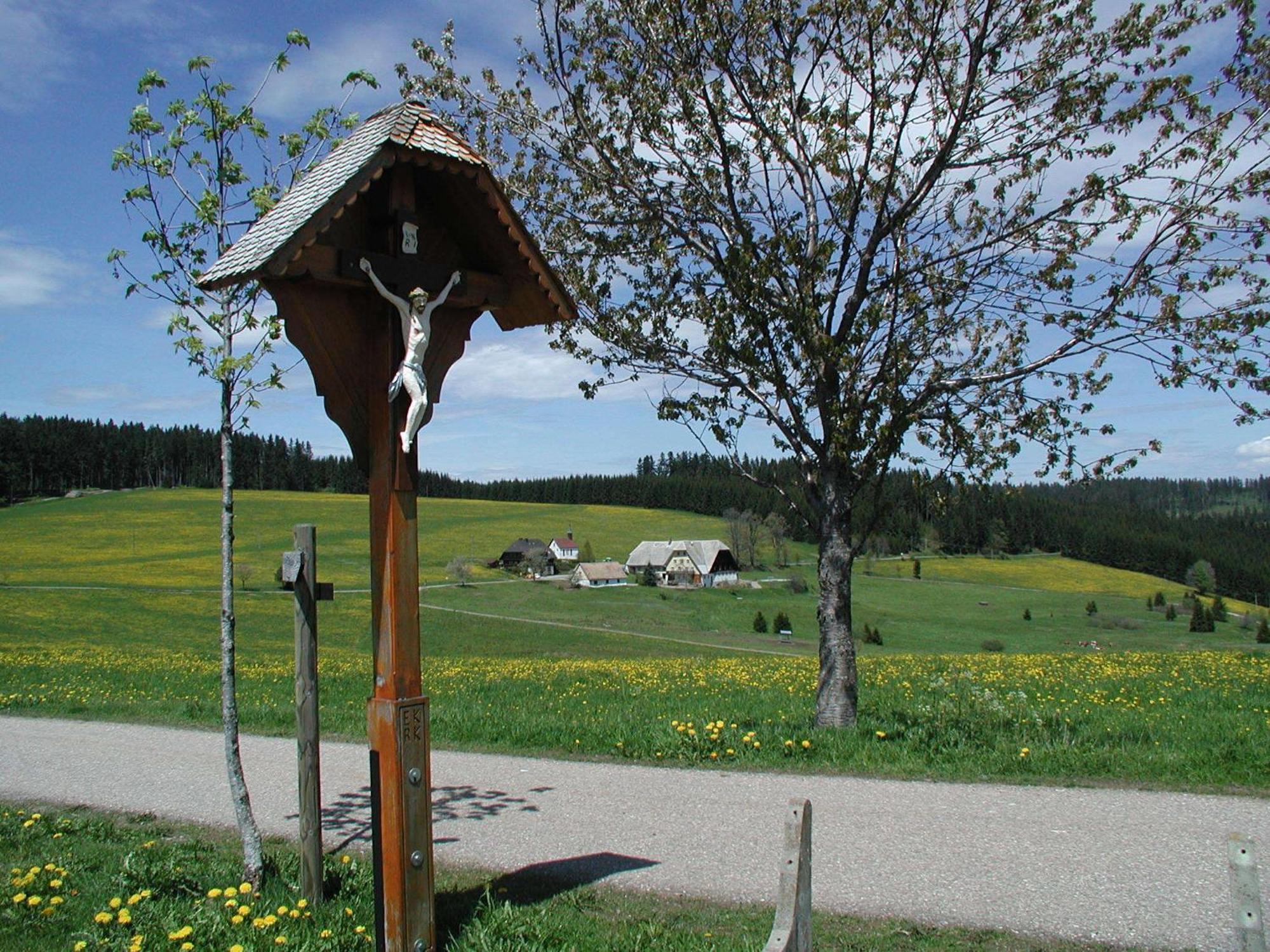 Café-Pension Feldbergblick Titisee-Neustadt Exterior foto